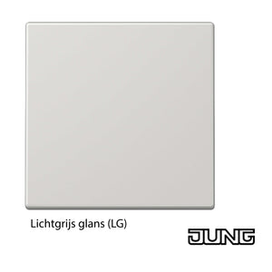 Jung-Enocean-LS-Serie-voor-Casambi-lichtgrijs-enkel-Eb10